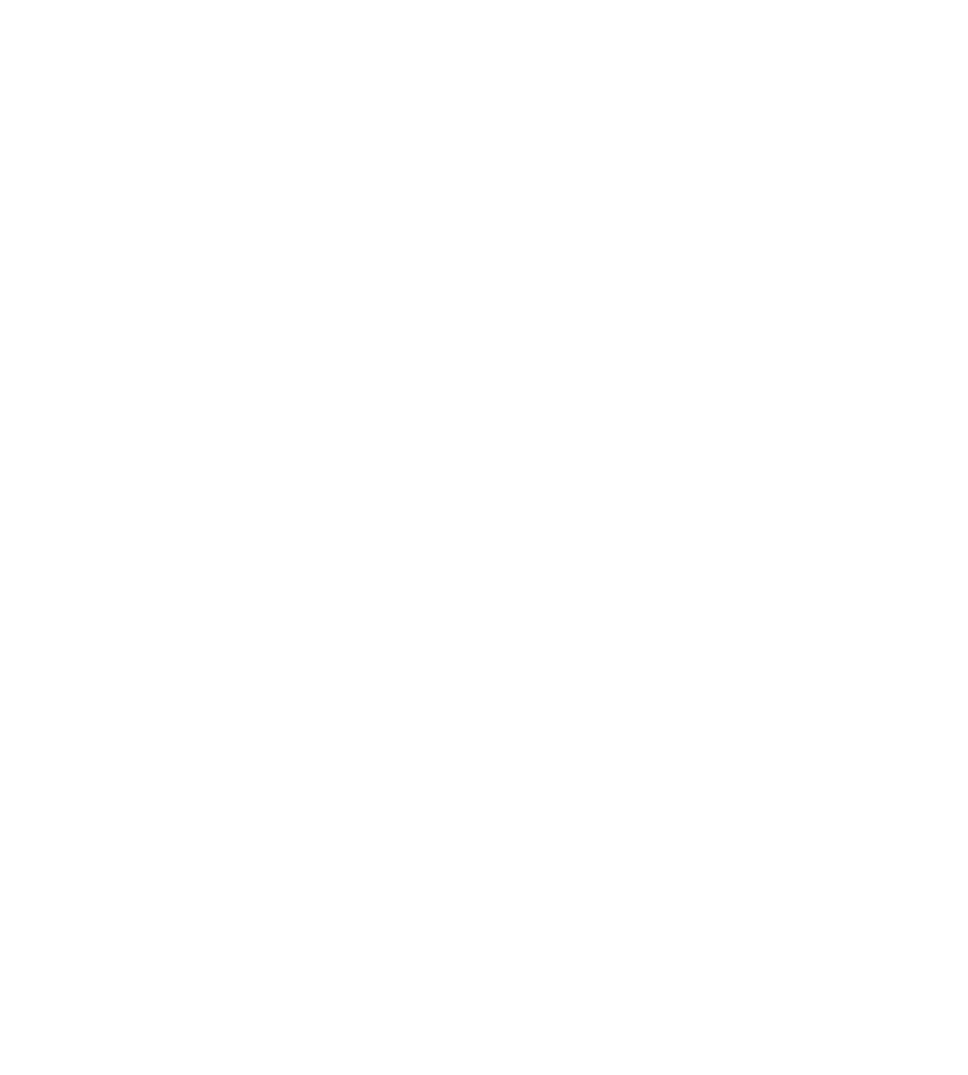 MSE Logo